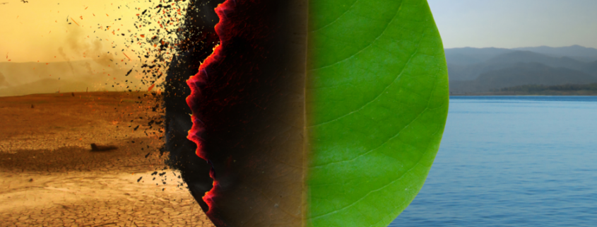 radzenie ze zmianami