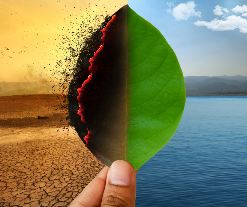 radzenie ze zmianami