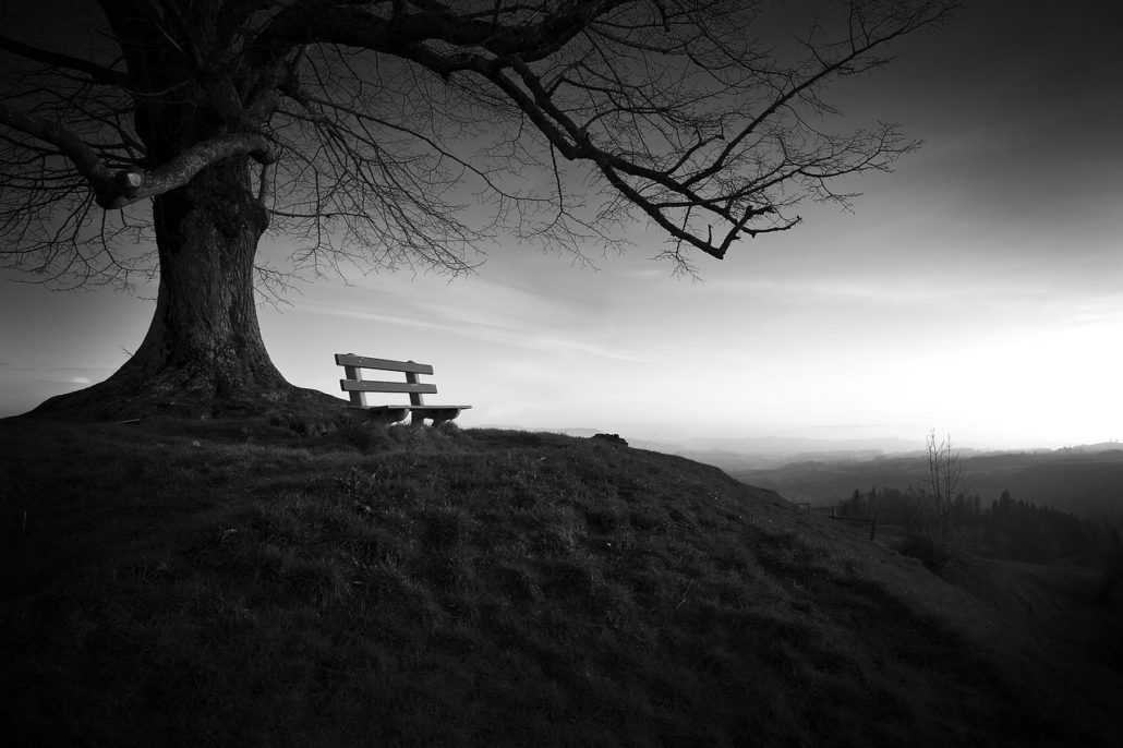 tree-753069_1280@